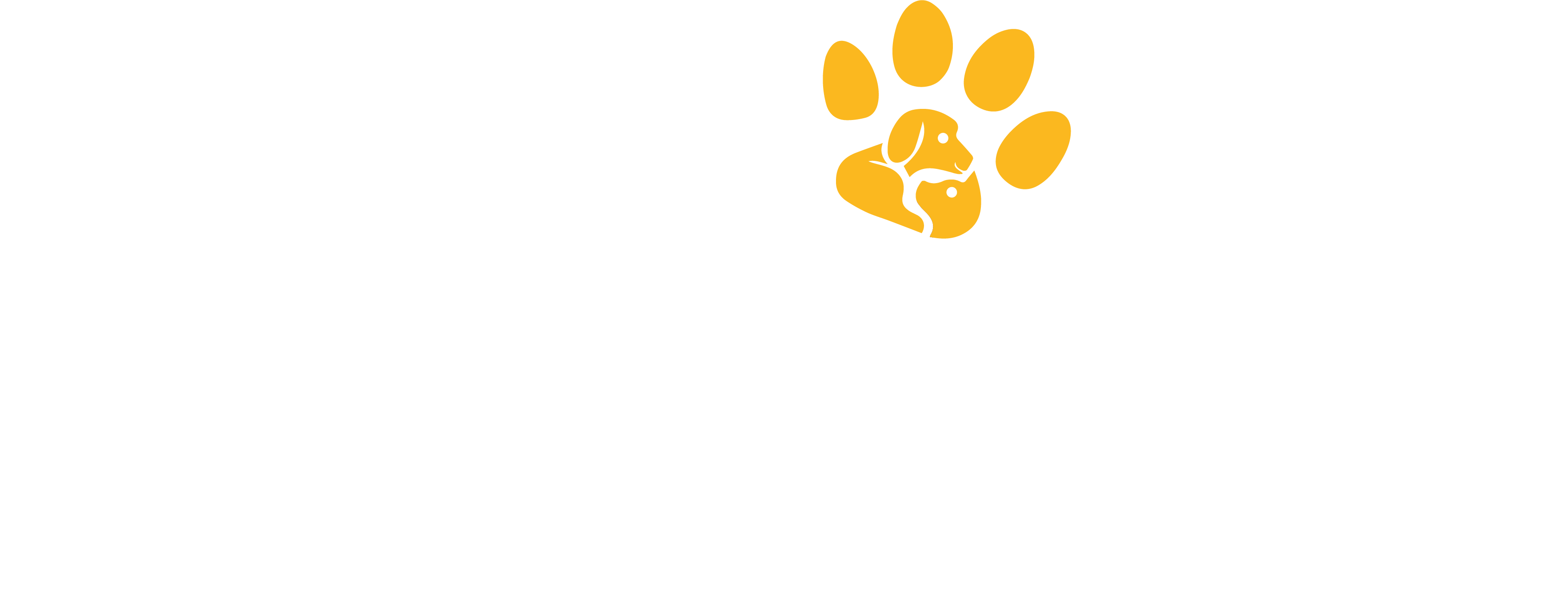 Zupet